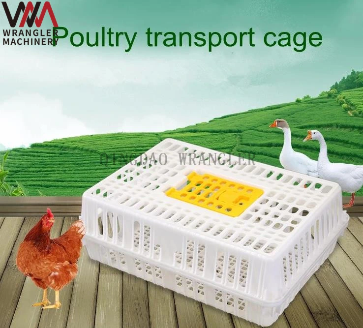 Agricultural Plastic Crates for Chicken Transportation, Live Chicken Transport Crate