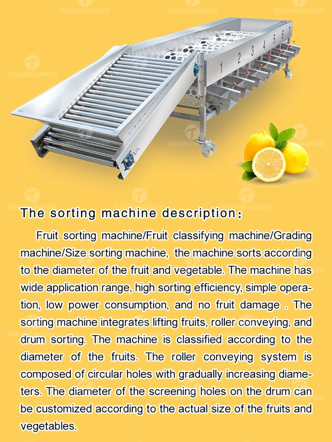 Large Commercial Fruit Sorter Lemon Passion Fruit Apple Orange Grading Machine (TS-FS670)