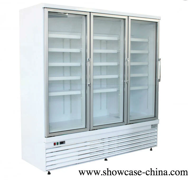 Lass Door Upright Mist Free Supermarket Showcase Freezer for Convenience Store