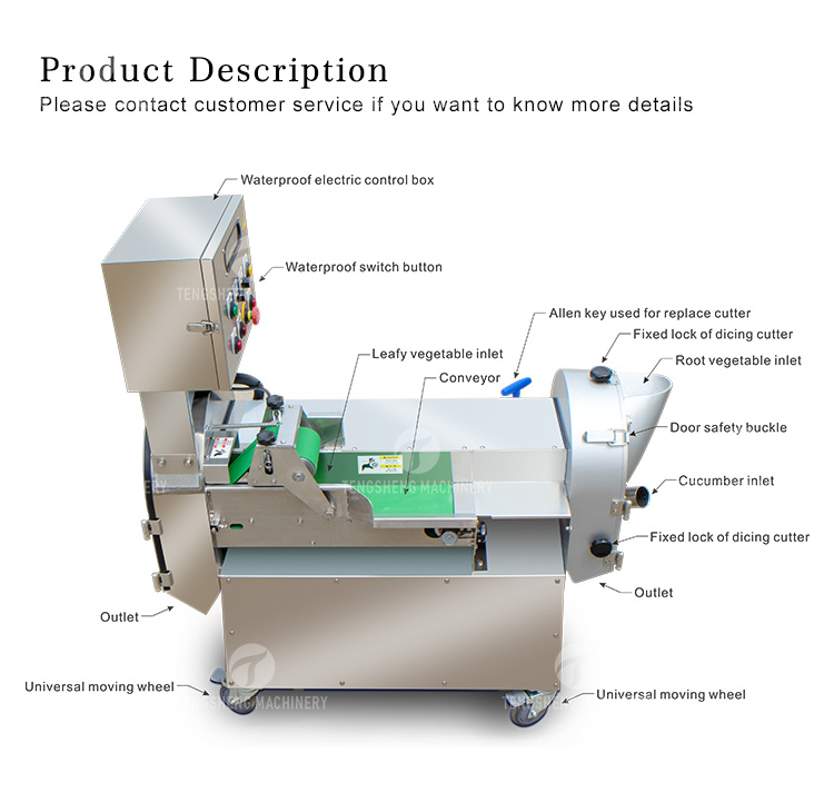 Root Vegetable Cutter Frequency Conversion Leafy Vegetable and Fruit Cutting Machine (TS-Q118)
