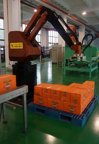 Low Price Heavy Duty Automated Palletizer Robot for Box Pallet with Conveyor