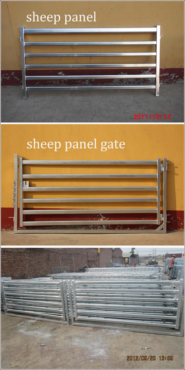 Australia New Zealand Popular 1*2.1m Used Sheep Panels Yard
