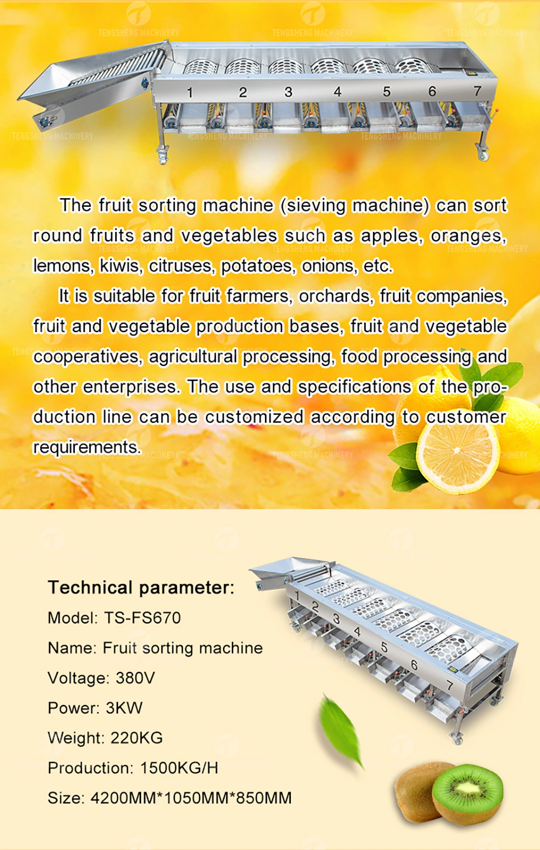 Passion Fruit Apple Pear Kiwi Fruit Sorting Machine Potato Grading Machine Food Processing Machine (TS-FS670)