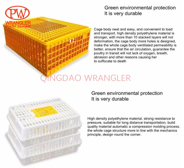 Strong Plastic Quail/Pigeon/Bird Chicken Farm Equipment Poultry Crates
