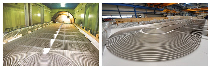 U Bend Tubes Alloy Steel ASTM/ASME SA213 T12 U-Bent Tubes for Heat Exchanger