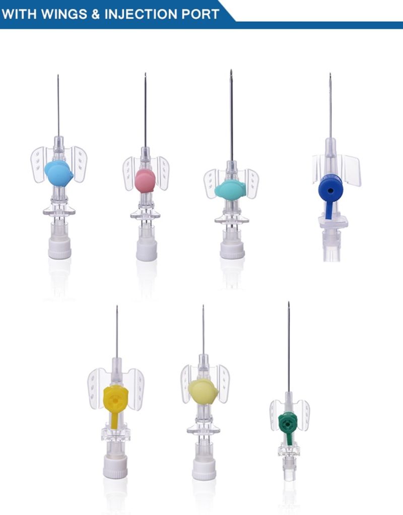 Different Types of Sterile Single Use Transparent IV Cannula Catheter Pen-Type