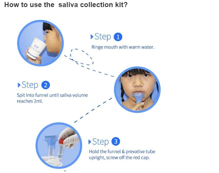 Disposable Saliva DNA/Rna Sample Collection Test Kit Detection Saliva Swab Kit Saliva Collection Tube