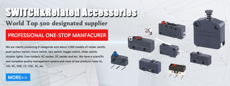 Sealed Micro Switch Micro Switches 16A 250VAC Dpdt Combined Sealed Micro Switches