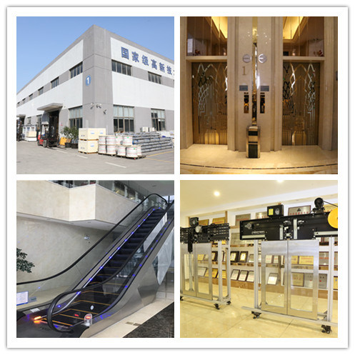 Chinese Manufacture Home Lift with Varies Kinds Type