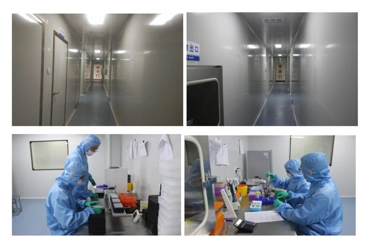 Lab Medical Disposable Gene Saliva Collector Saliva DNA Rna Collection Tube for Human, Virus Saliva Sampling Testing Collection Kits Collector