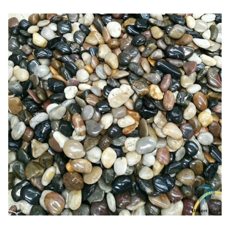 Pebbles Stone with Different Sizes Colored Pebbles Stone Polished Stone for Sale