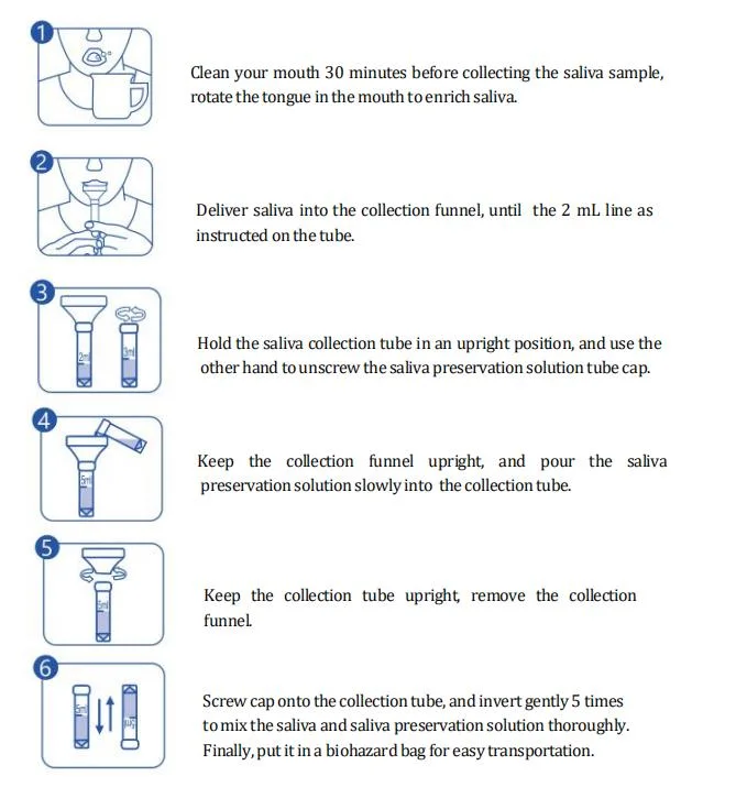 Medical DNA Sample Collection Saliva Collection Funnel Tube Kit