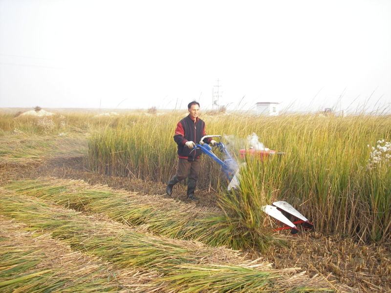Rice Harvest /Mini Rice Harvest Machine/Reaper