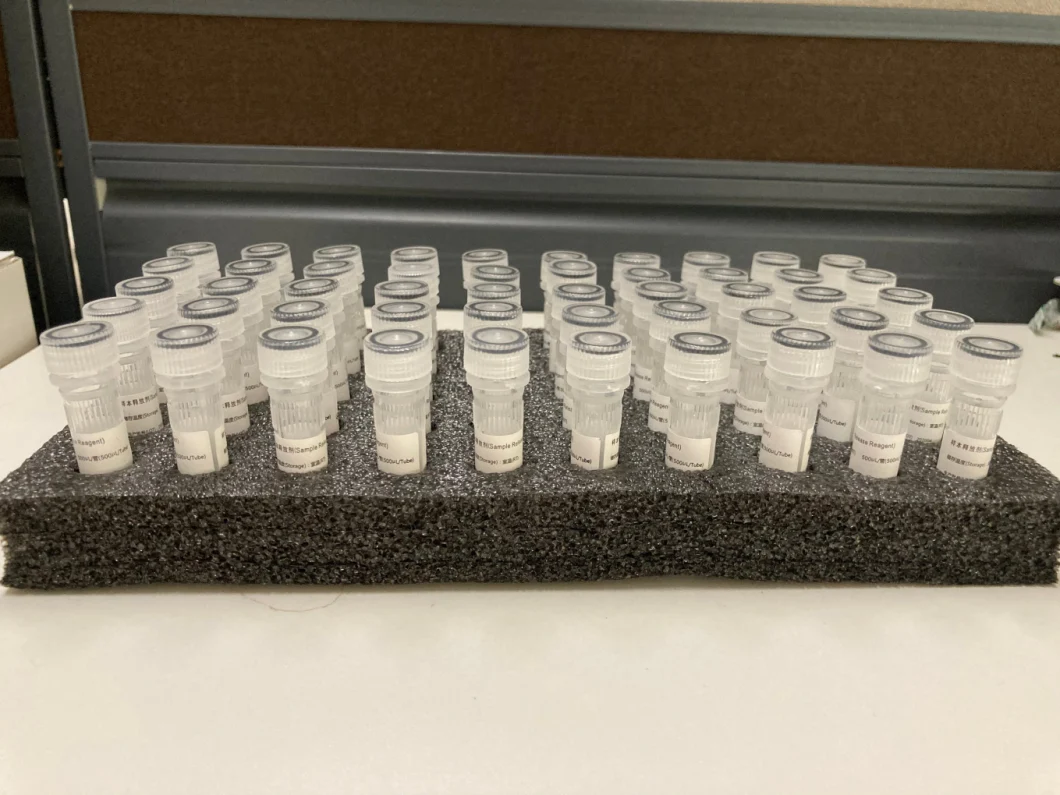 Specimen Disposable Sterile Virus Sampling Tube Nasopharyngeal Swab Virus Sample Detection Collection Tube