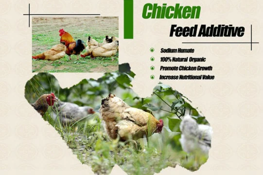 Suitable for Organic Farms Feed Additives Sodium Citrate