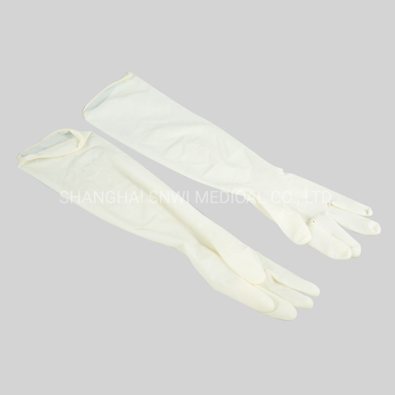 Medical Disposable Sterile PVC Double Blood Transfusion Collection Bag