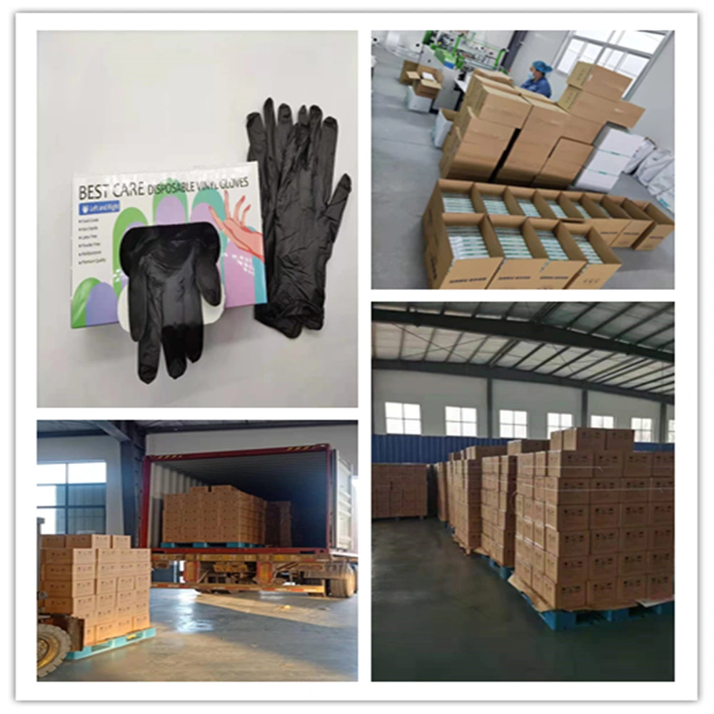 Food Contact Safety Protection Powder Free Disposable Vinyl PVC Gloves Clear Blue Black Cheap Gloves