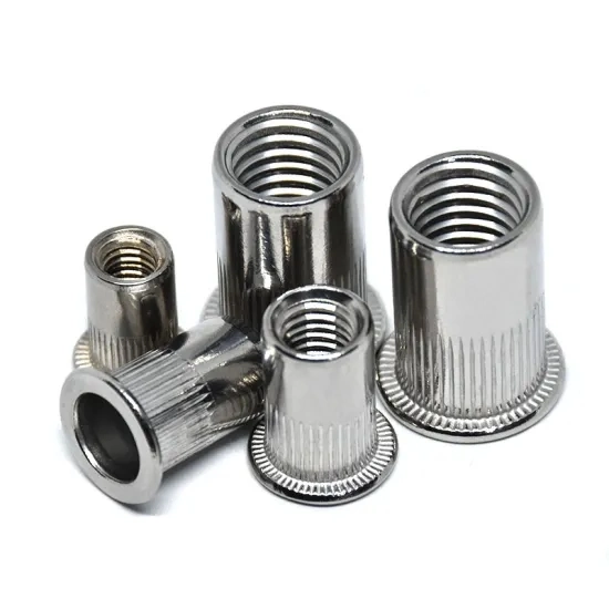 SS304 M6 Countersunk Head Rivet Nut/Auto Parts/Fastener/Bolt and Nut/Made in China