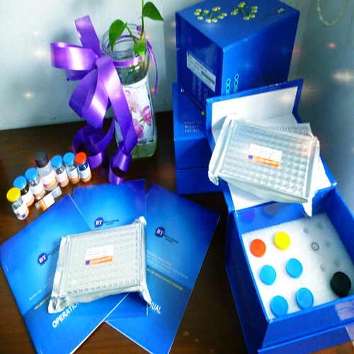 Tnf Alpha Elisa Kits/Elisa Test Kits/Human Tnf Alpha Elisa Kits