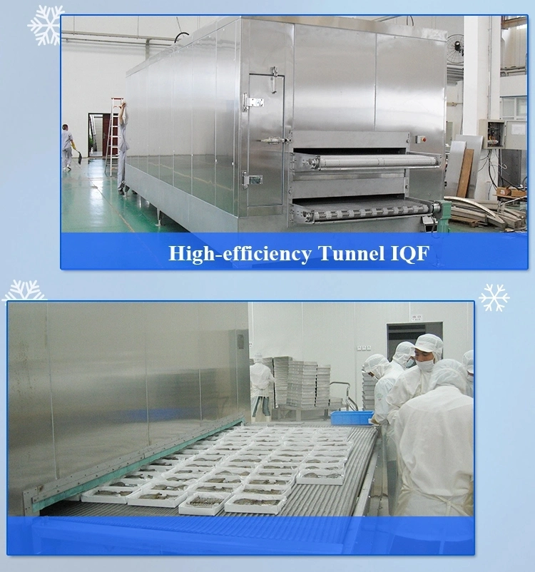Aluminum Alloy Horizontal Plate Freezer/IQF Contact Plate Freezer/Blast Quick Freezer
