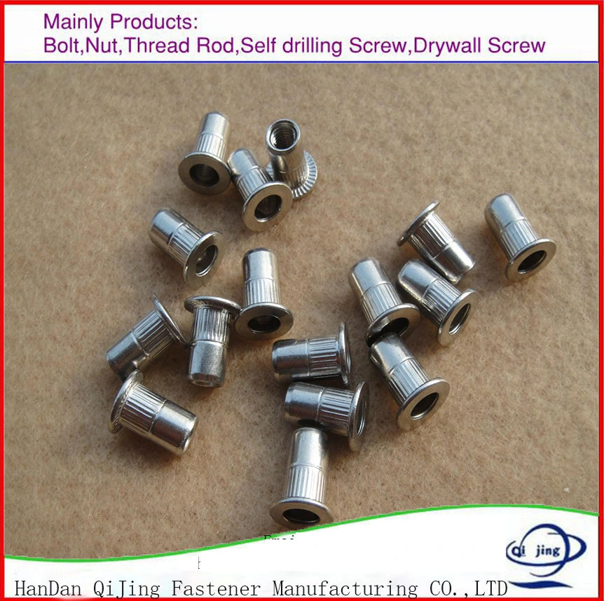 Flat Head Hexagon Rivet Nut Insert Nut/Rivet Nuts/Flat Head Open End Blind Rivet Nut