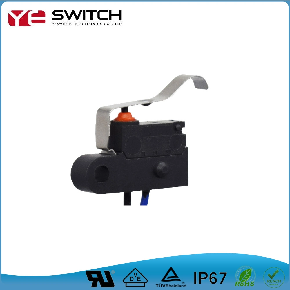 Square Silver Contact Locking Micro Contact Switch for Automotive Parts