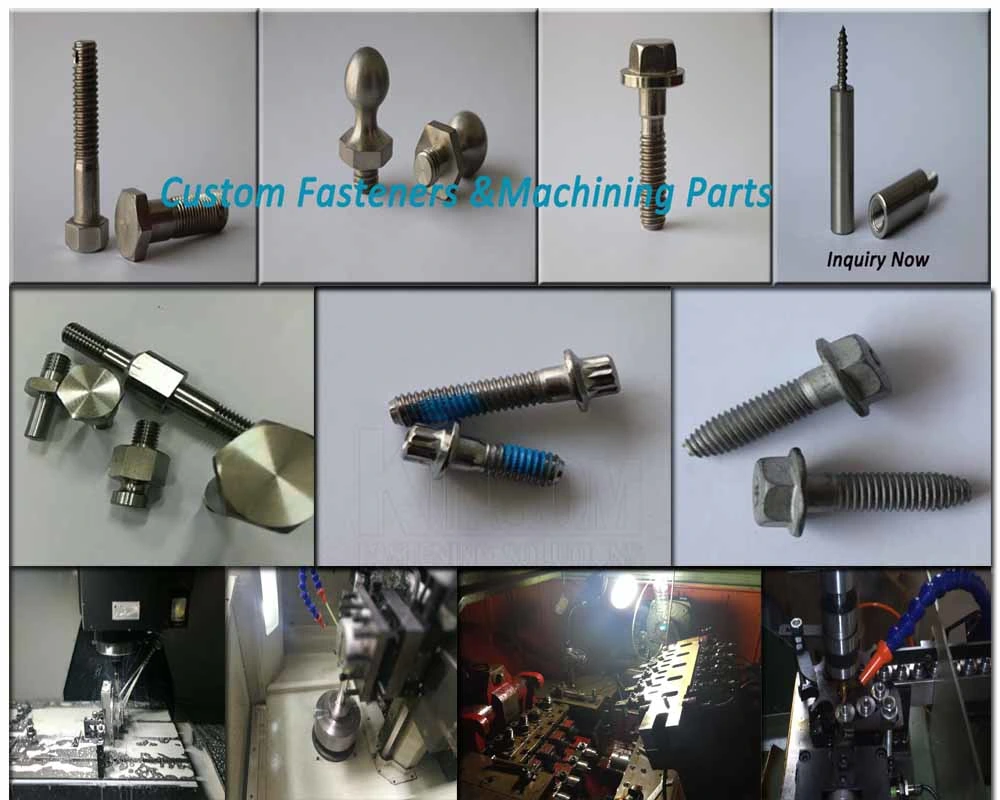 Processing Turning Hexagon Head Rivet Nut Machining Parts with Interal Thread Blue Zinc Coating