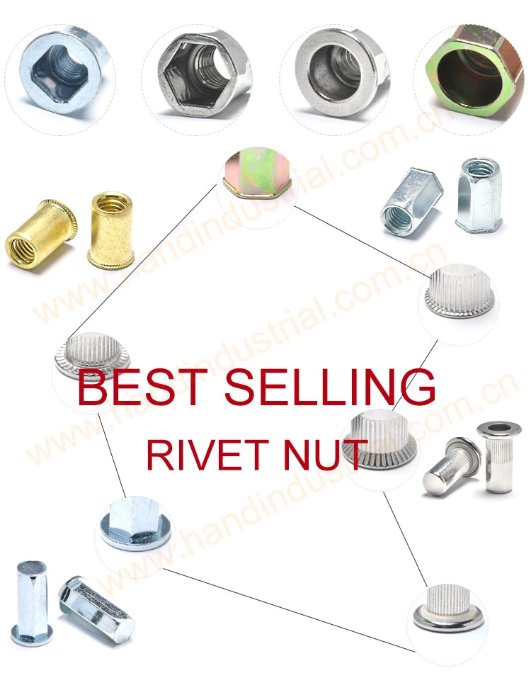 Csk Flat Reduced Head Stainless Steel Rivet Nut with Open and Close End