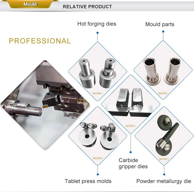 Carbide Mold Powder Metallurgy Mould Tungsten Steel Cold Extrusion Die