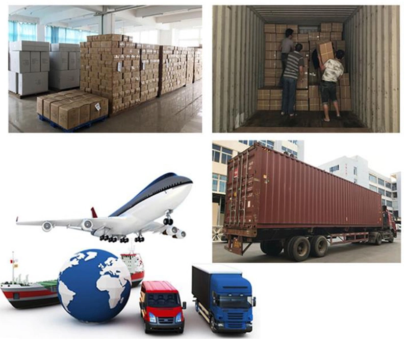 The Factory Directly Provides Roller-Driven Roller Conveyor Rollers