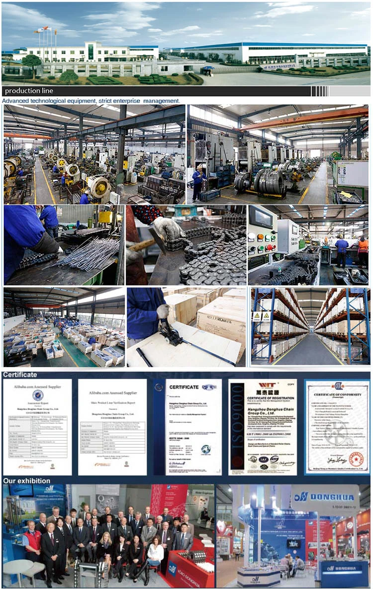 High efficiency stainless steel conveyor chain for internationally recognized industry