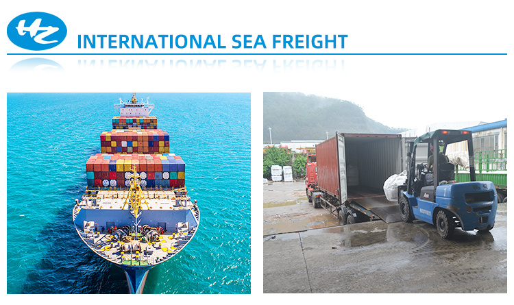International Shipping Forwarder DDP Sea Freight Shipping to UK Canada