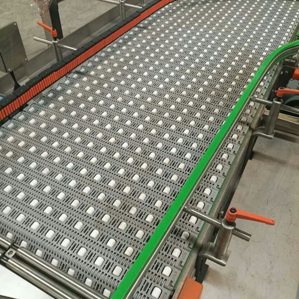 4003 Transverse Roller Conveyor Chain Roller Top Sorting Conveyor Belting