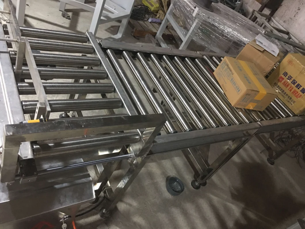 Customized Steel Rolls Conveying Equipment Roller Conveyors