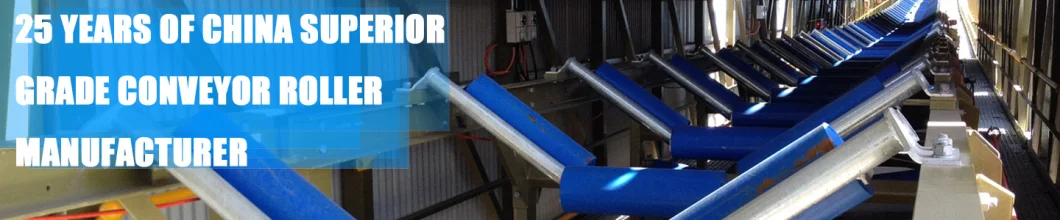 Custom Industrial HDPE Trough Belt Conveyor Idler Conveyor Roller Rubber Roller Conveyor Idler