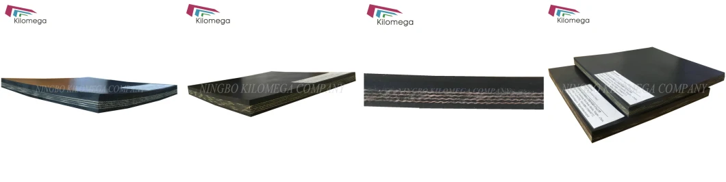 Heat-Resistant&Heavy Duty Conveyor Belt for Mining