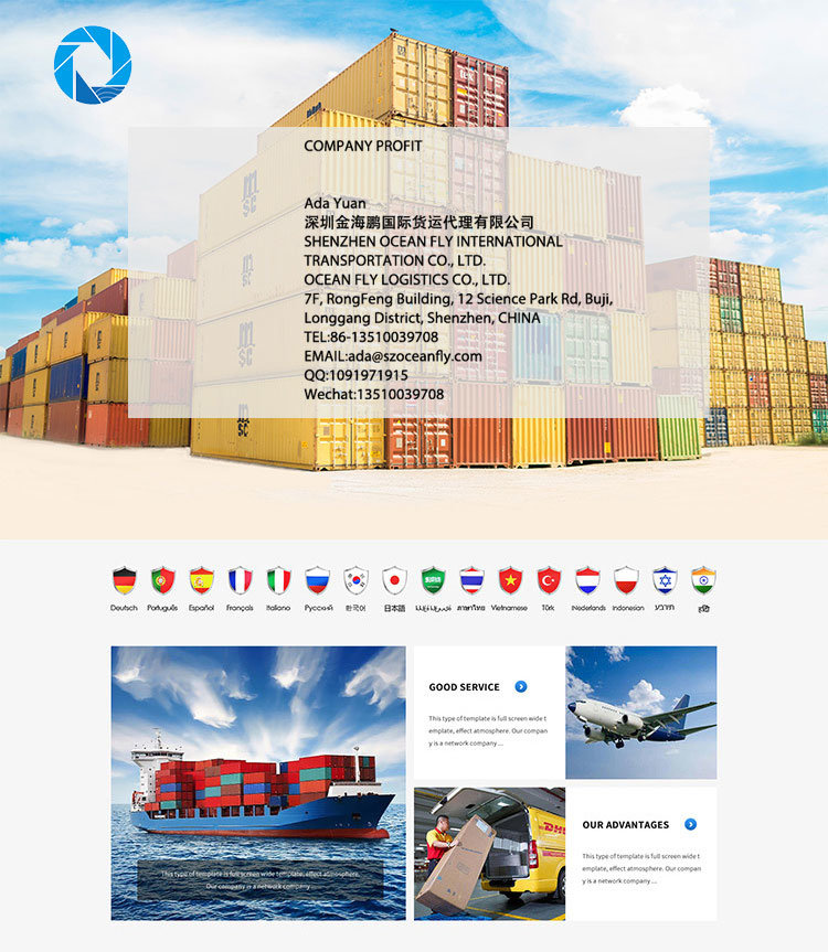 Logistics Sea Shipping Service/ Agent FCL/20gp/40gp/40hq Shipping Container to Muara Logistic Shipping