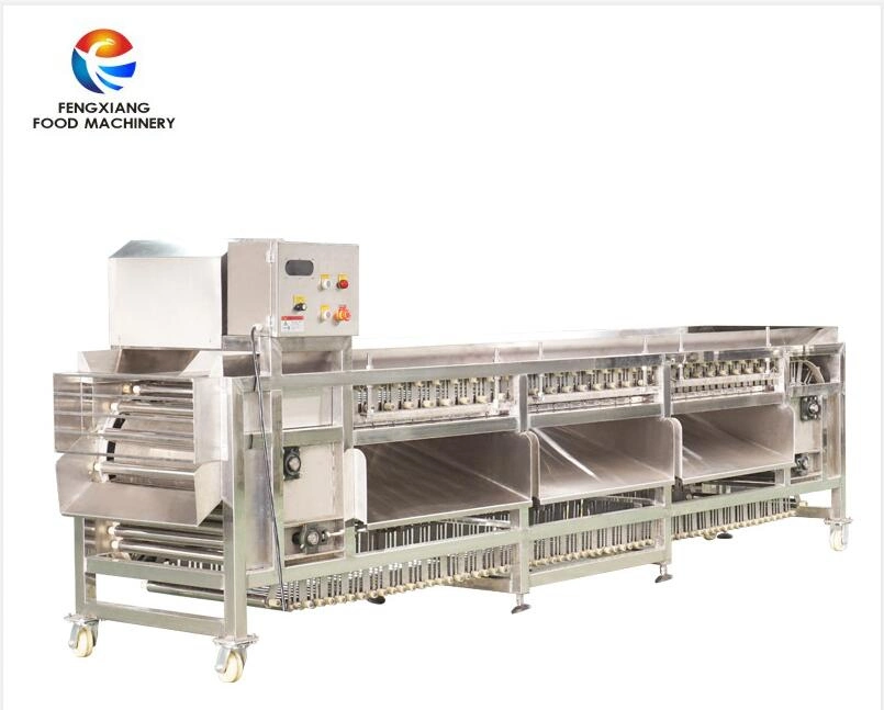 Fruit Processing Industrial Roller Type Automatic Potato Grading Sorting Machine