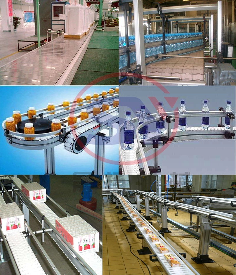 Electric Motor Driven Lifting Chain Plate Conveyor with Best Price