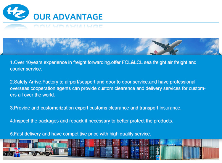 International Shipping Forwarder DDP Sea Freight Shipping to UK Canada