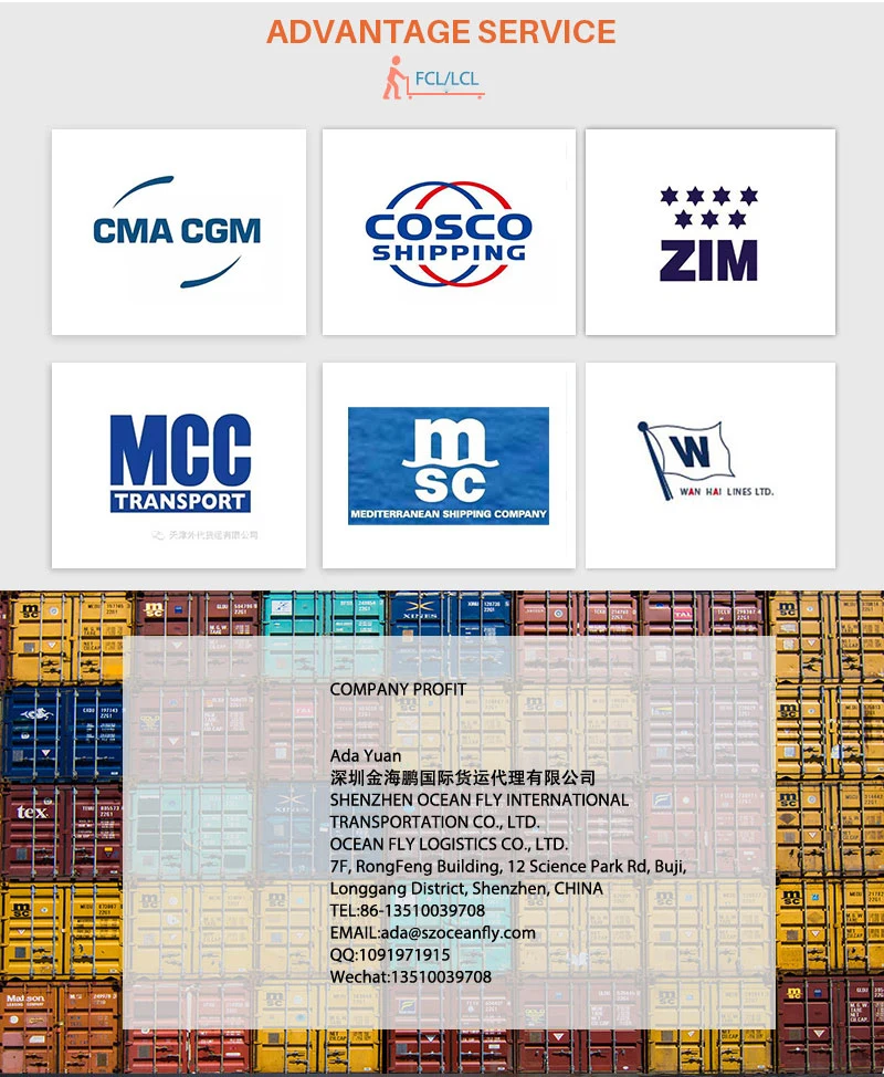 Ocan Fly Logistics Shipping Service China Shipping FCL/20gp/40gp/40hq Shipping Container Shipping Agent