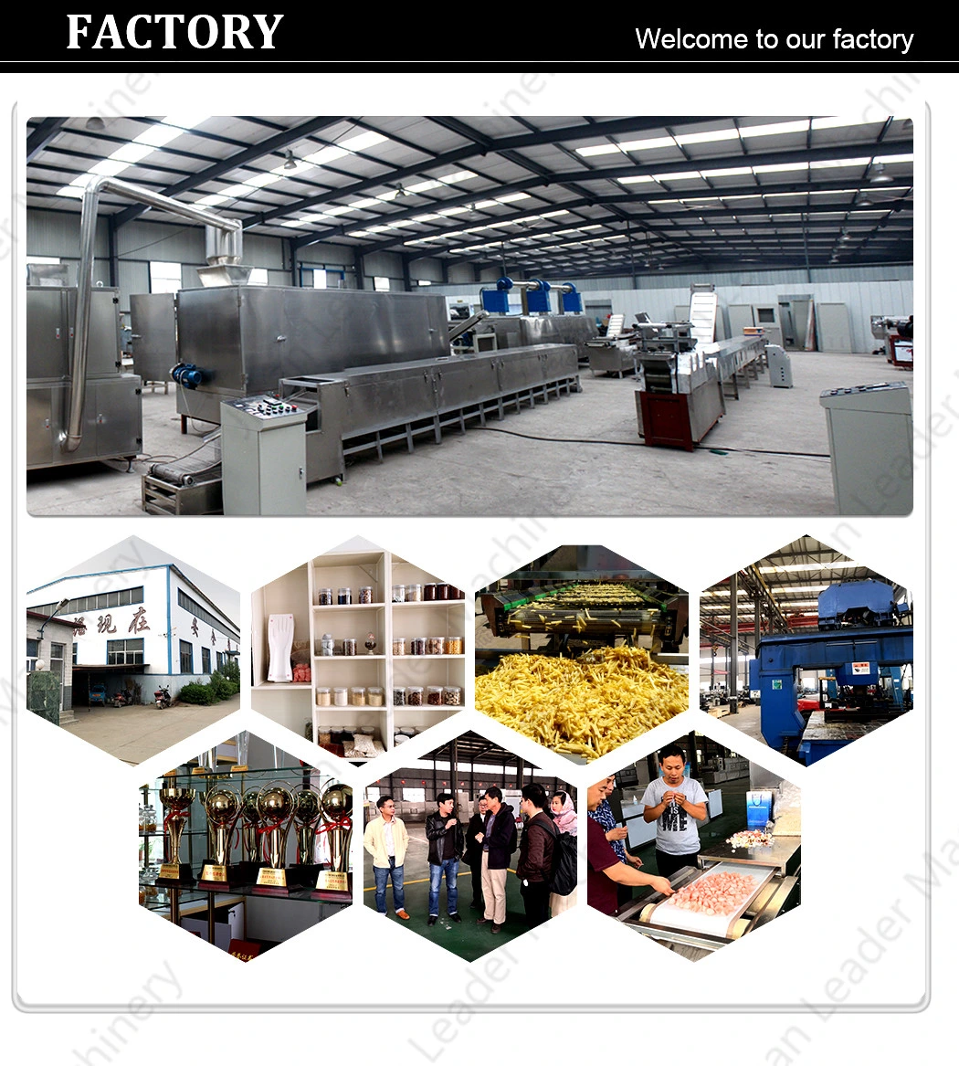 Automatic Continuous Frying Machine/No-Pollution Frying Equipment for Small Scale Business