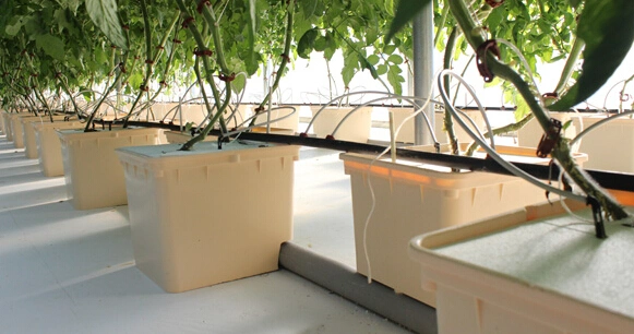 Plastic Agricultural Hydroponic Planting System Aquaponic Substrate Tomato Bucket Dutch Pots Hydroponic Grow Pot