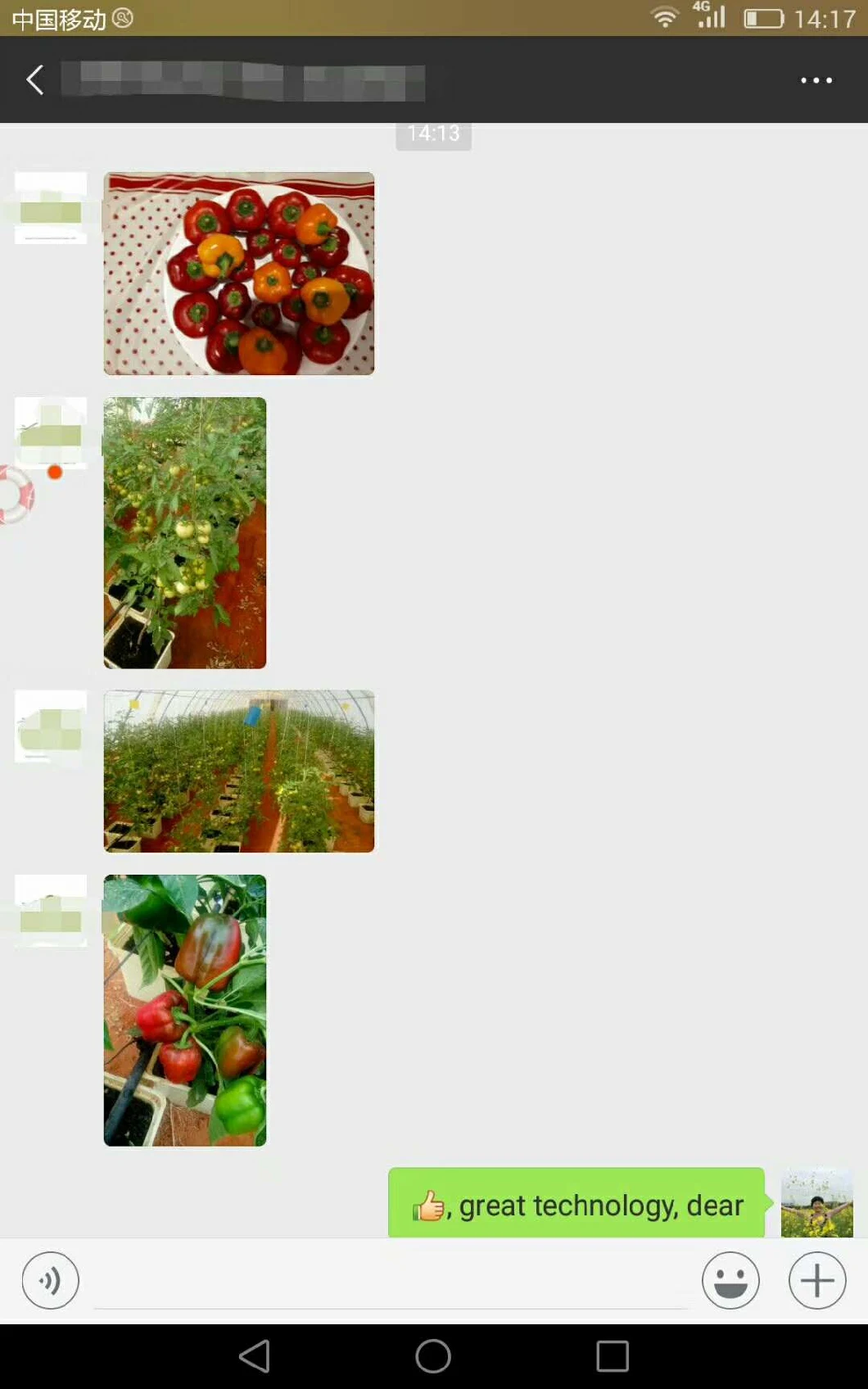 Wholesale Dutch Bucket Growing Strawberry, Pepper, Lettuce, Tomato, Cucumber Planting Pot