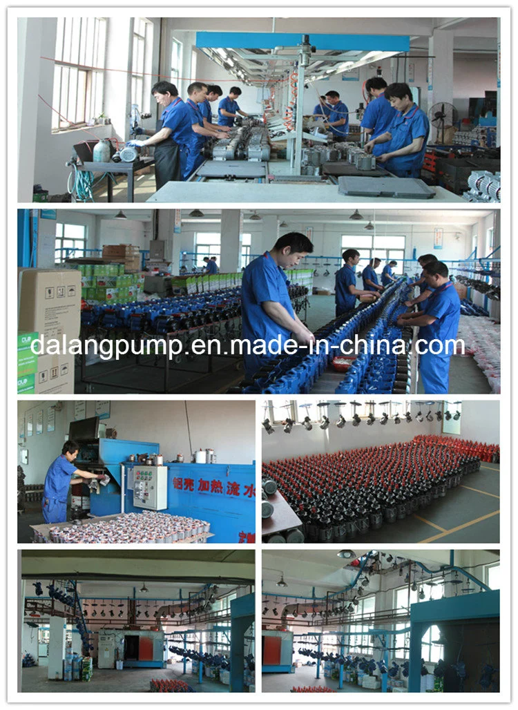 High Quality Cast Iron Sewage Pump with Cast Iron Impeller