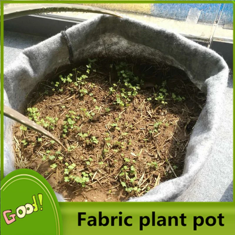 Round Fabric Flower Pot Grow Bag Plant Pot in Garden/Landscaping