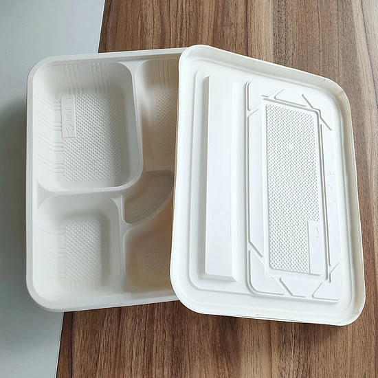 5 Compartment Corn Starch Large Food Trays with Lid