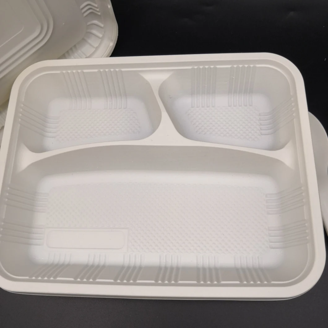 100% Biodegradable Large 1000ml 3rd Part Corn Starch Food Tray Rectangle Plate with Lid