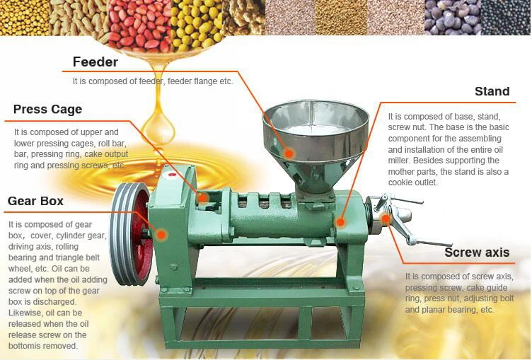 Factory 6yl-60 Cold Pressed Coconut, Soybean, Peanut, Walnut, Oil Spiral Machine Oil Presser Pressing Machine