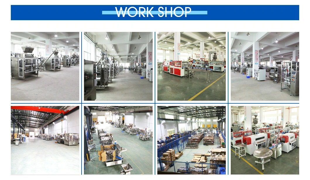 Automatic Pillow Pack Vertical Form Fill Sealing Packing Machine for Paper Bag Making Machine (PM-420)